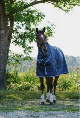Produktbild von Ekkia Riding World Combo Regendecke marineblau, QHP17_Gr.:155