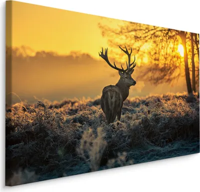 Produktbild von Fabelhafte Canvas LEINWAND BILDER 70x50 cm XXL Kunstdruck Hirsch Wiese Winter Sonne