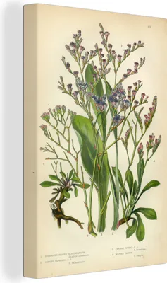 Produktbild von OneMillionCanvasses® - Leinwandbilder - 90x140 cm, Nahaufnahme eines Lavendelblütenstraußes, Wandbilder Kunstdruck Wanddekoration - Foto auf Leinwand - Gemälde auf Holzrahmen - Wandschmucke - Schlafzimmer