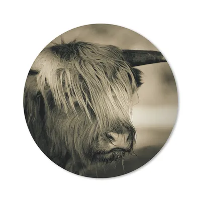 Produktbild von MuchoWow® Mauspad Mousepad Schottischer Highlander - Tiere - Haare 20x20 cm - Mousepads - Maus Mat - Pad - Mausunterlage - Schreibtischmatte