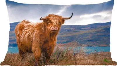 Produktbild von MuchoWow® Zierkissen Sofakissen Wohnzimmer Dekokissen 50x30 cm Schottisches Hochlandrind - Berg - Wasser - Natur - Kuh - Wohnzimmerdekoration - Polster mit Photo
