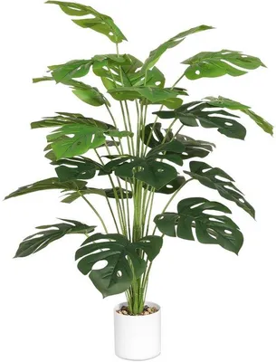 Zdjęcie produktu dla Sztuczna palma Monstera 71 cm, zielona, dekoracja do wnętrz i na zewnątrz