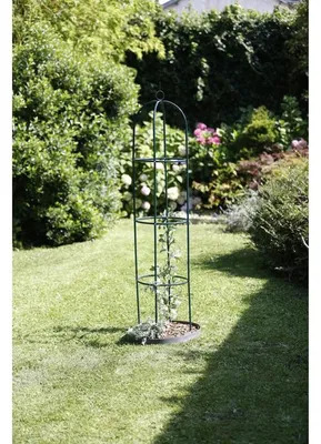 Image de Plante grimpante obélisque h190b40d40cm Ubbink - Ubbink