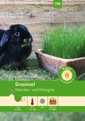 Artikelbild 1 von 'Grasinsel Heimtier- und Ostergras' aus der Kategorie Kleintiersaaten