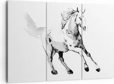 Produktbild von Bild auf Leinwand - Leinwandbild - 3 Teile - Pferd Galopp Tier - 165x110cm - Wand Bild - Wanddeko - Wandbilder - Leinwanddruck - Bilder - Wanddekoration - Leinwand bilder - Wandbild - CE165x110-5117