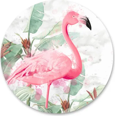 Produktbild von Sticker RUND für Wohnzimmer Büro Flamingos Pflanzen Blätter Natur Aquarell Wanddeko Wandtattoo Aufkleber 100 cm x 100 cm