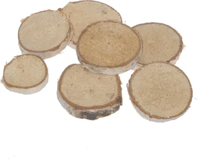 Produktbild von Mini-Birkenholzscheiben - Rund - ca. 2,5 - 4 cm Ø - 5 mm - 1 VE = 35 Stück - 13407