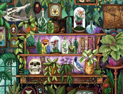 Image de Puzzle de 2000 pièces. À partir de 14 ans. Objets et accessoires ésotériques. Puzzle de qualité supérieure fabriqué en Europe. Plantes. 12001416