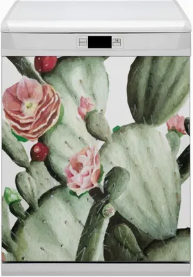Produktbild von Küche Magnet für Spülmaschine  Abwaschbar 60x70 cm Geschirrspüle  - Kakteen