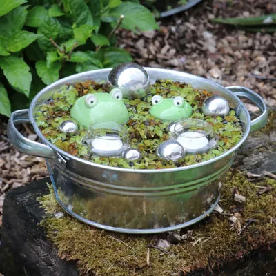 Produktbild von Miniteich mit Schwimmfrosch und Zinkwanne
