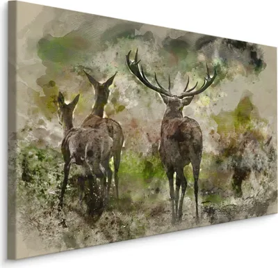 Produktbild von Fabelhafte Canvas LEINWAND BILDER 70x50 cm XXL Kunstdruck Hirsch Rehe Pflanzen Grün