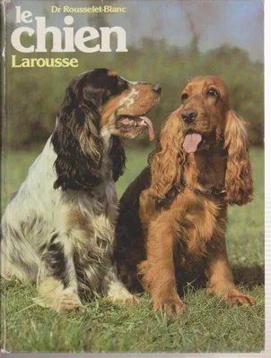 Image de le chien