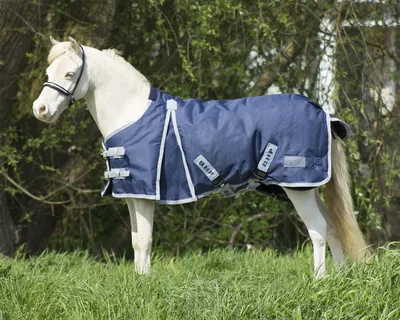 Produktbild von QHP Falabella Regendecke Turnout 0g