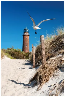 Produktbild von Wallario Wandbild aus Acryl, 90 x 60 cm, freischwebende Optik - Möwe am Strand mit Leuchtturm