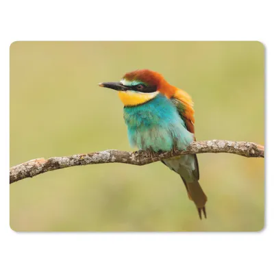 Produktbild von MuchoWow® Mauspad Mousepad Vogel - Bienenfresser - Tiere 23x19 cm - Mousepads - Maus Mat - Pad - Mausunterlage - Schreibtischunterlage - Mauspad