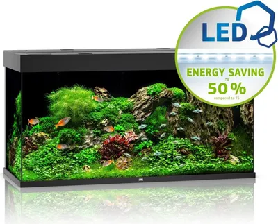 Produktbild von Juwel Rio 350 LED schwarz - Aquarium Juwel