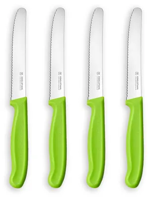 Productafbeelding van Broodmes - set van 4 stuks met getande snede - mes voor ontbijt en tomaten - 21,8 cm - groen