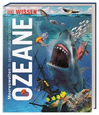 Produktbild von DK Wissen. Ozeane