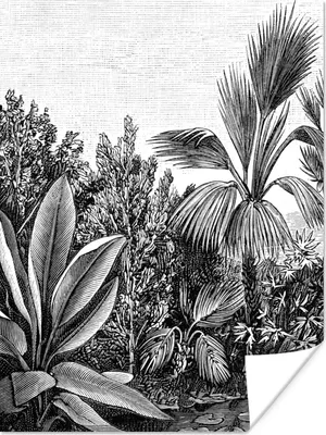 Produktbild von MuchoWow® Poster Pflanzen - Natur - Gestaltung - Illustration - Ernst Haeckel 90x120 cm - Wohnzimmer