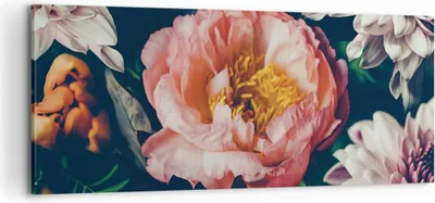 Produktbild von Bild auf Leinwand - Leinwandbild - Einteilig - Blumen Pfingstrose Holzig - 120x50cm - Wand Bild - Wanddeko - Wandbilder - Leinwanddruck - Bilder - Wanddekoration - Leinwand bilder - AB120x50-4661