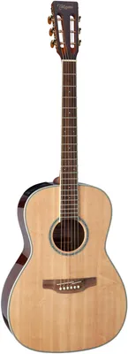 Obrázek produktu pro TAKAMINE GY51EN New Yorker