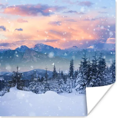 Produktbild von MuchoWow® Poster Schnee - Himmel - Wald - Winter 75x75 cm - Wand Dekoration