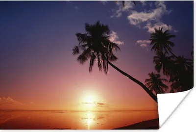 Produktbild von MuchoWow® Poster Silhouette von Palmen bei Sonnenuntergang 30x20 cm - Plakate - Print