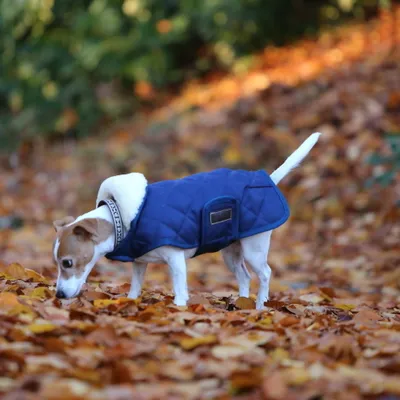 Produktbild von Kentucky Dogwear Hundemantel Original Hundejacke Marine L