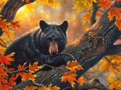 Produktbild von Diamond Painting Vollbild 30x40 mit runden Steinen
