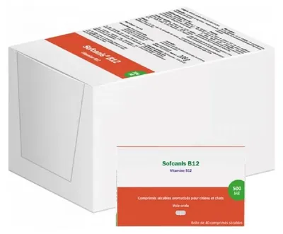 Produktbild von Sofcanis B12 - Moureau
