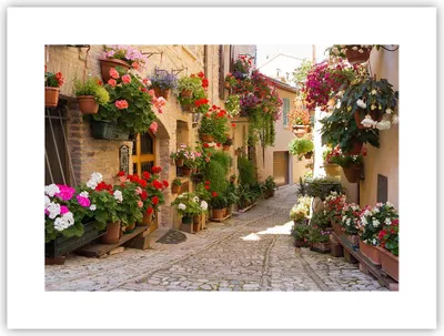 Produktbild von Poster - Poster ohne Rahmen - Blume Straße Haus - 40x30 cm - Wand Bild - Wanddeko - Wandbilder - Kunstposter - Wandposter - Bilder - Kunstdruck - Wanddekoration - Wandbild - P2XAA40x30-3586