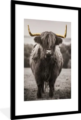 Produktbild von MuchoWow® MuchoWow® Gerahmtes Poster Scottish Hochlandrind - Schwarz - Weiß - Gold 60x90 cm - Poster mit zchwarzem Bilderrahmen - Dekoration - Wandposter Wohnzimmer - Hochwertig