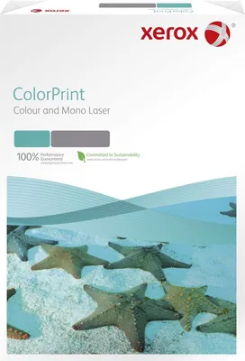 Image de Xerox 003R91721 Premier ECF - A3, 80 g/qm, blanc, 500 feuilles