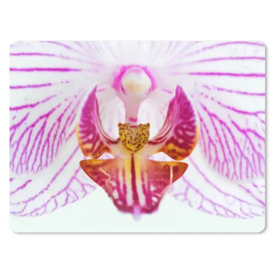 Produktbild von MuchoWow® Mauspad Mousepad Orchidee Detail 23x19 cm - Mousepads - Maus Mat - Pad - Mausunterlage - Schreibtischunterlage - Mauspad