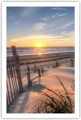 Produktbild von Poster - Poster ohne Rahmen - Westen Sonne Düne - 61x91,5 cm - Wand Bild - Wanddeko - Wandbilder - Kunstposter - Wandposter - Bilder - Kunstdruck - Wanddekoration - Wandbild - P2XPA61x91-4219
