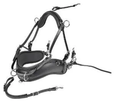 Produktbild von Zilco Empathy Zweispänner Brustblatt Set Pony