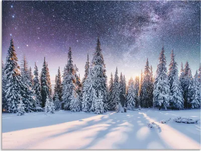 Produktbild von ARTland Wandbild Alu für Innen & Outdoor Tannenwald im Schnee vorm Sternenhimmel Größe: 120x90 cm