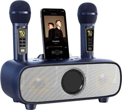 Image de Système de karaoké sans fil pour téléviseur avec 2 microphones