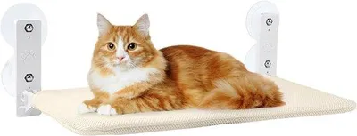 Produktbild von Famanu Katzenhängematte für Fenster - Klappbares Katzenbett mit Saugnäpfen - Robustes Material - Für Katzen bis 18 kg - Maße 52 x 30 cm