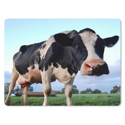 Produktbild von MuchoWow® Mauspad Mousepad Kuh - Bauernhof - Gras - Tiere 23x19 cm - Mousepads - Maus Mat - Pad - Mausunterlage - Schreibtischunterlage - Mauspad