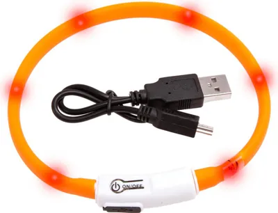 Image de Collier Karlie Visio Light LED 15-35 cm, orange