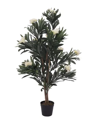 Zdjęcie produktu dla EUROPALMS Oleander, sztuczna roślina, biały, 120 cm (82507246)