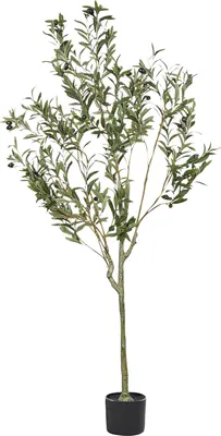 Produktbild von BELIANI Künstliche Topfpflanze Olivenbaum Grün und Schwarz Kunststoff 153 cm Dekoratives Accessoire für den Innenbereich