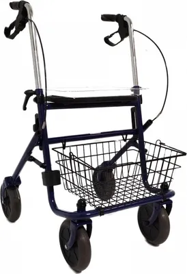 Produktbild von Rollator Standard Blau