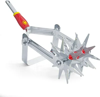 Productafbeelding van Tuinfrees DA-S, multi-star (rood/geel, 15 cm)