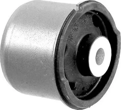 Produktbild von Lagerung Lenker für FORD Fiesta Mk6 Schrägheck (JA8, JR8) Hinten Links Hinten Rechts CAS-1342 GOOM