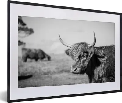 Produktbild von MuchoWow® MuchoWow® Gerahmtes Poster Schottisches Hochlandrind - Tiere - Schwarz - Weiß 60x40 cm - Poster mit zchwarzem Bilderrahmen - Schlafzimmer - Plakat in Rahmen - Drucken