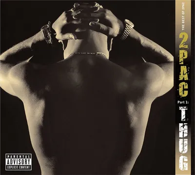 Produktbild von 2Pac - The Best Of 2Pac: Pt. 1: Thug (2 LP)