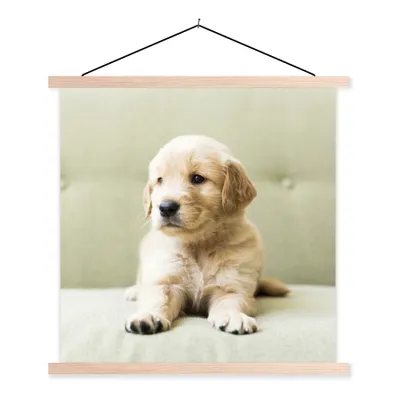 Produktbild von MuchoWow® Textilposter Golden Retriever Welpe auf dem Sofa liegend 60x60 cm mit holzfarbenen Rahmen - Wanddekoration