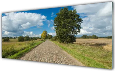 Produktbild von Küchenrückwand aus Glas 125x50cm Spritzschutz Kopfpflaster Landschaft